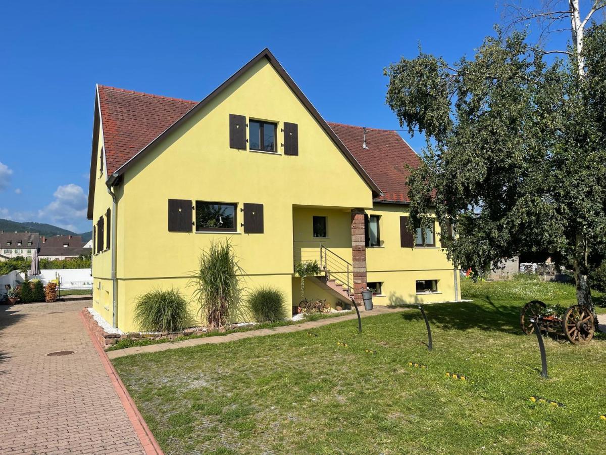 Alsacebnb - Gite 12 Personnes Dans Le Vignoble - Piscine Privee & Spa Ammerschwihr Kültér fotó