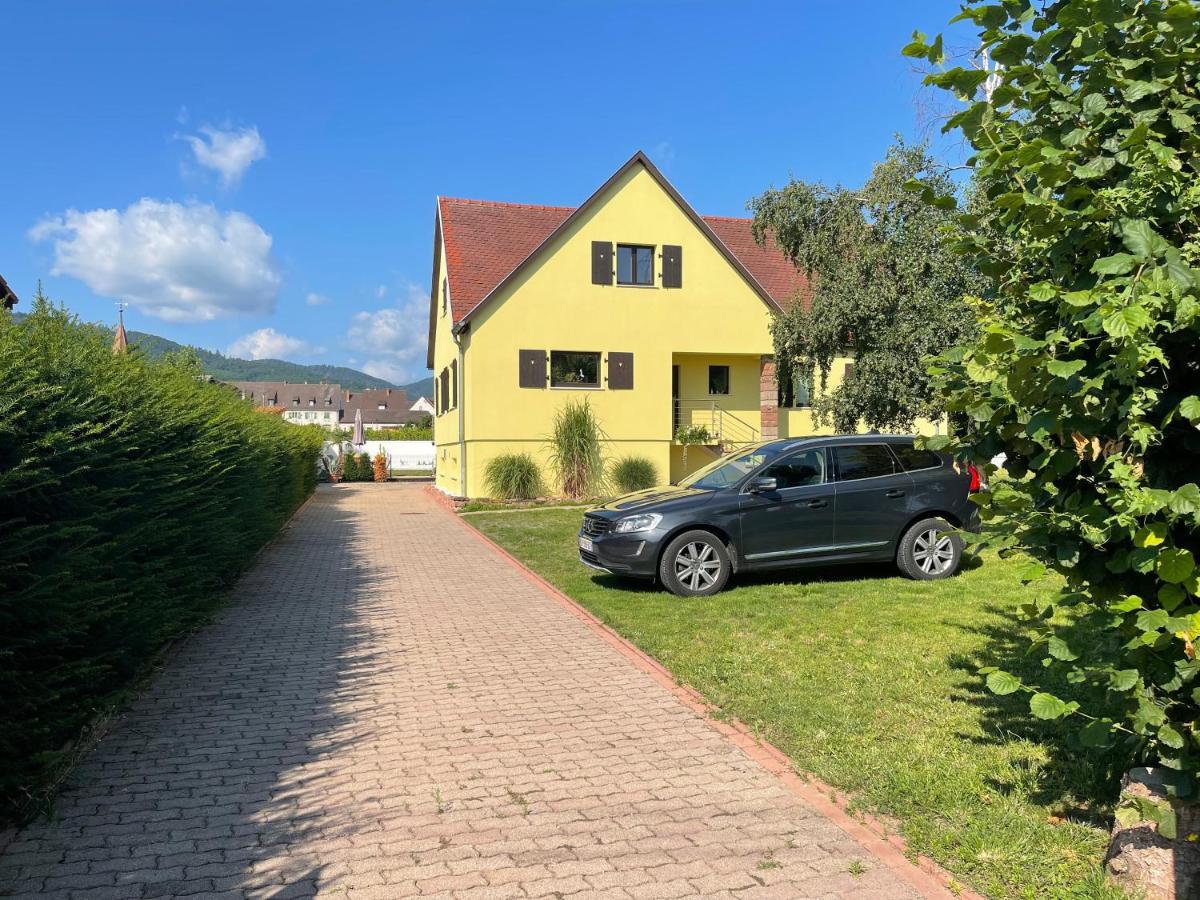 Alsacebnb - Gite 12 Personnes Dans Le Vignoble - Piscine Privee & Spa Ammerschwihr Kültér fotó