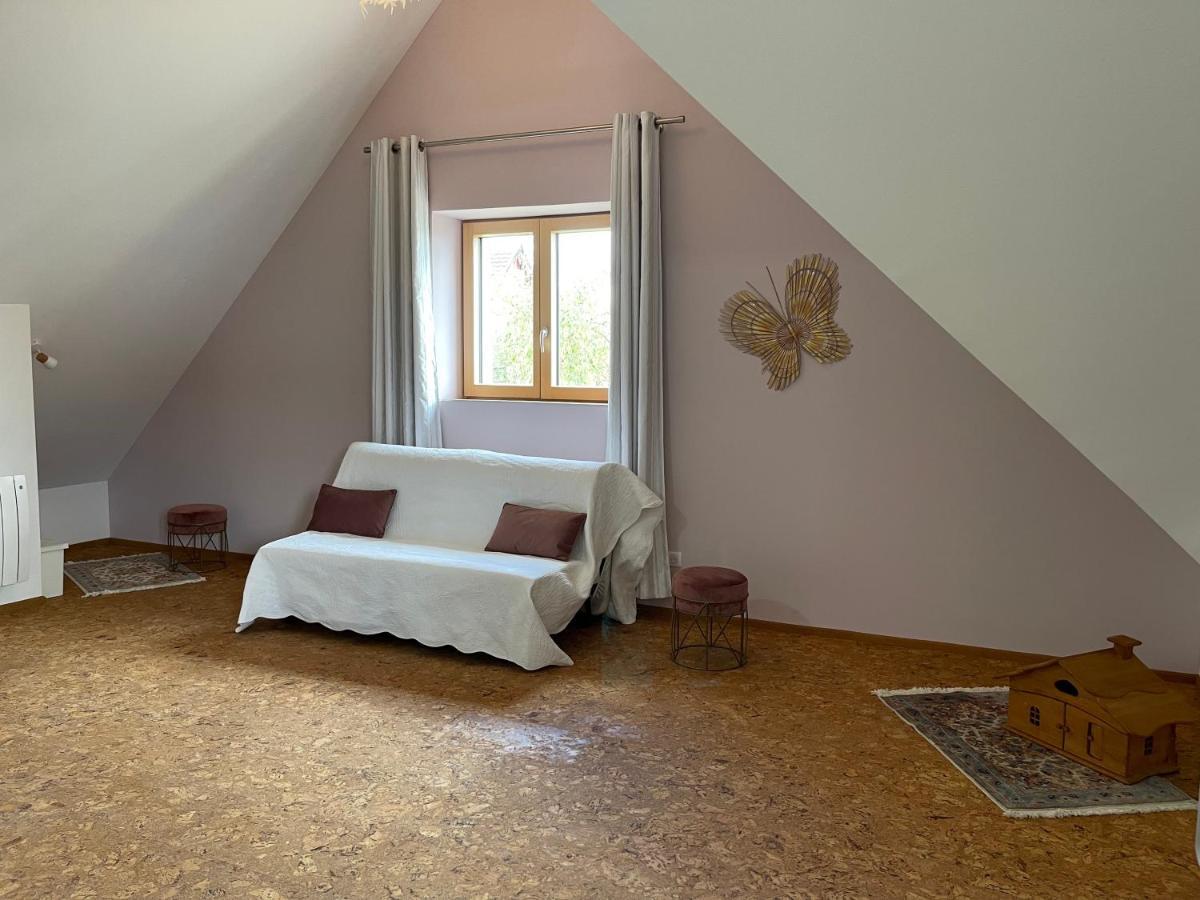Alsacebnb - Gite 12 Personnes Dans Le Vignoble - Piscine Privee & Spa Ammerschwihr Kültér fotó