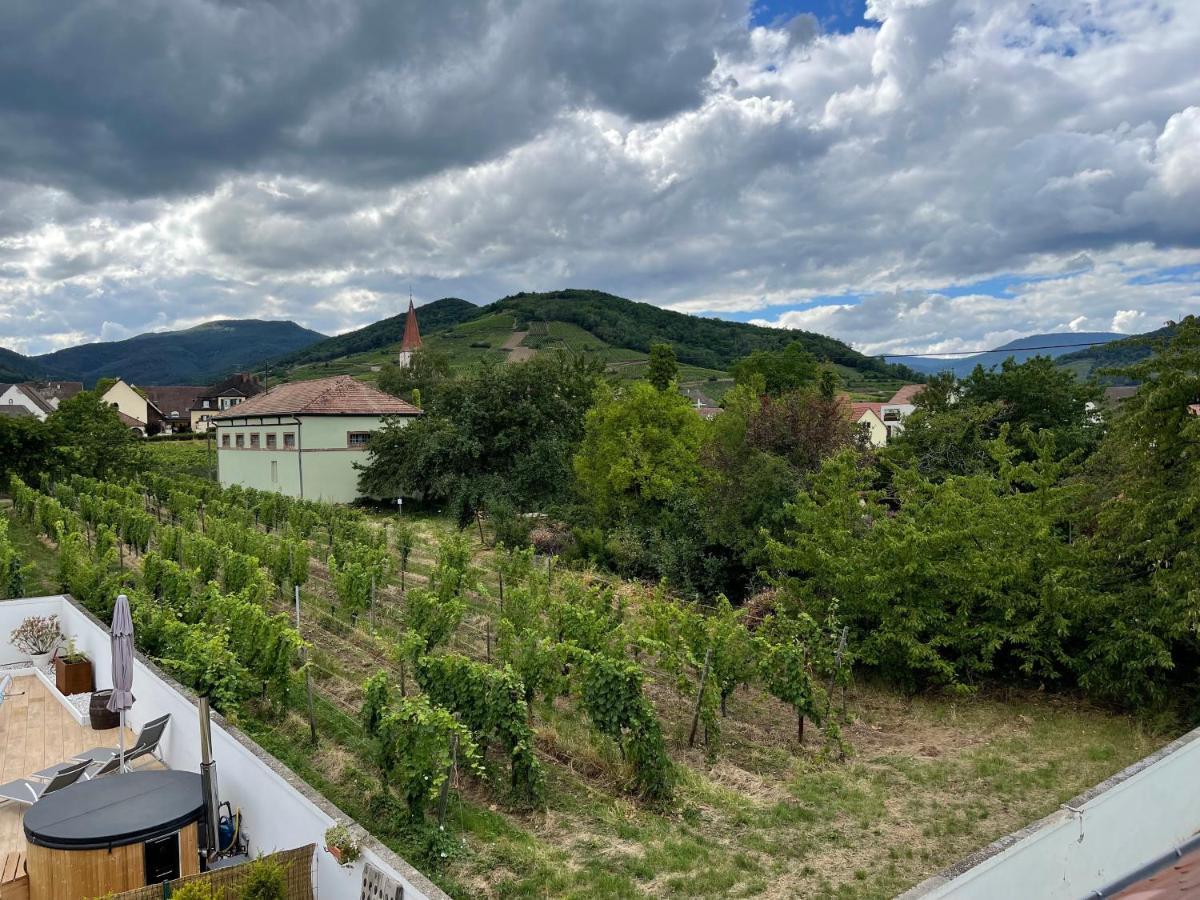 Alsacebnb - Gite 12 Personnes Dans Le Vignoble - Piscine Privee & Spa Ammerschwihr Kültér fotó
