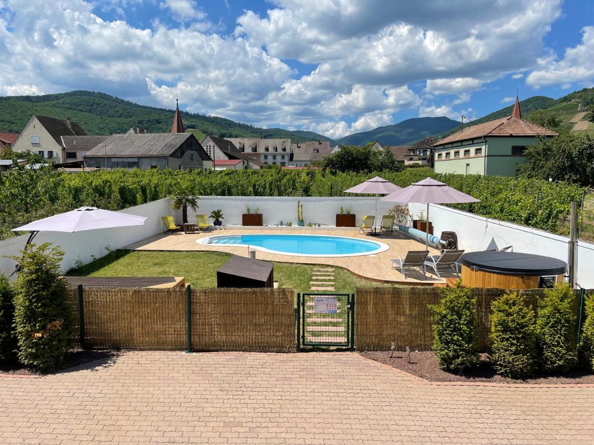 Alsacebnb - Gite 12 Personnes Dans Le Vignoble - Piscine Privee & Spa Ammerschwihr Kültér fotó