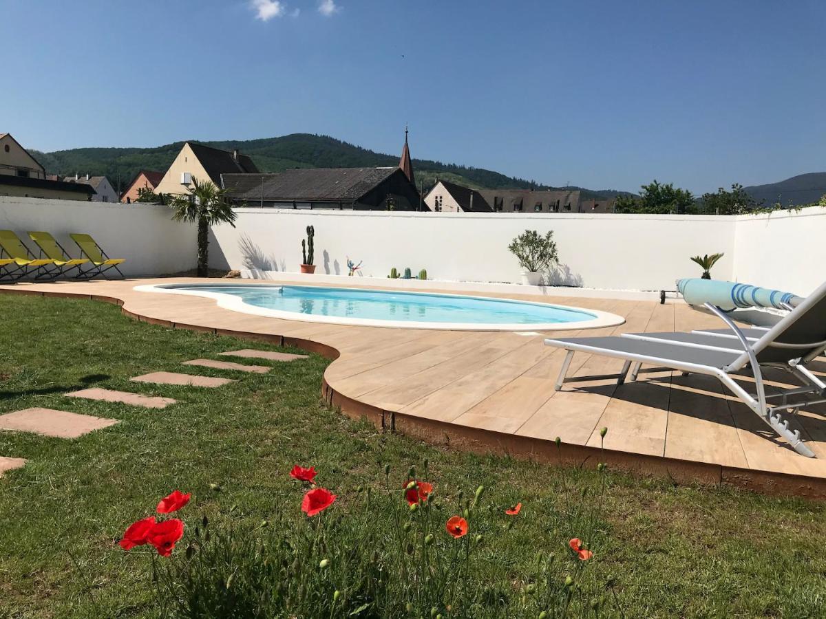 Alsacebnb - Gite 12 Personnes Dans Le Vignoble - Piscine Privee & Spa Ammerschwihr Kültér fotó